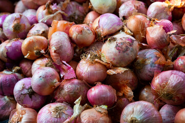 Image of boxes with onion for sale in supermarket, nobody