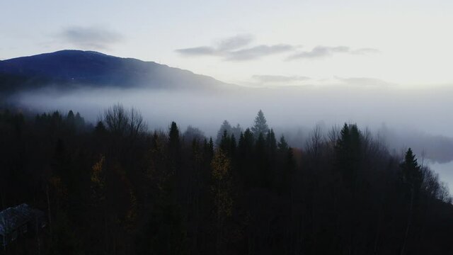 Drone shot of a smokey winter morning over the tree tops in the mountains
