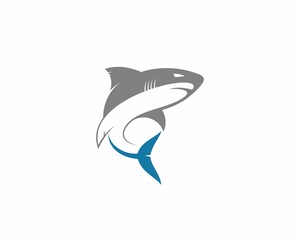 Shark illustration with blue and gray color