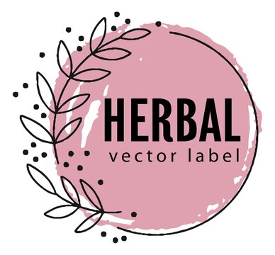 Herbal and natural, botany emblem or banner vector