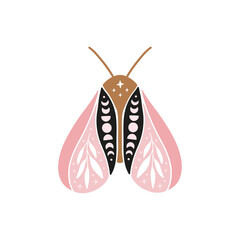 Celestial butterfly vector illustration. Mystical luna moth with moon phases. Magic floral insect on white background. Design for boho poster.