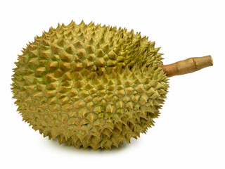 Durian The Controversial King of (Tropical) Fruits on white background.