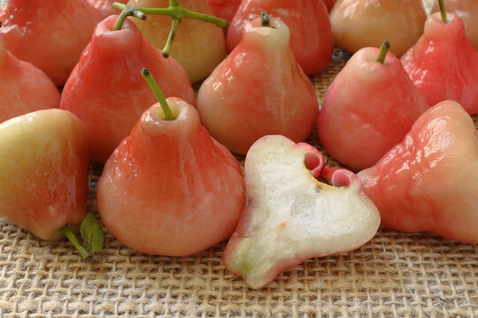 Pink Jambo Fresh Tropical Fruit.