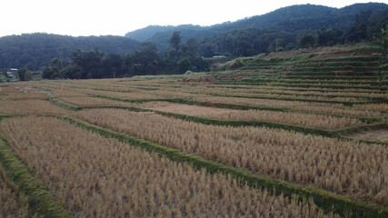 Baan Mae Klang Luang, A mountainside village and beautiful rice fields located in Chiang Mai, THAILAND.