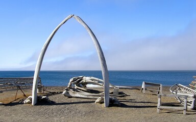 the iconic whale bone arch next to the arctic sea on a sunny summer day in the far north of barrow, alaska - obrazy, fototapety, plakaty