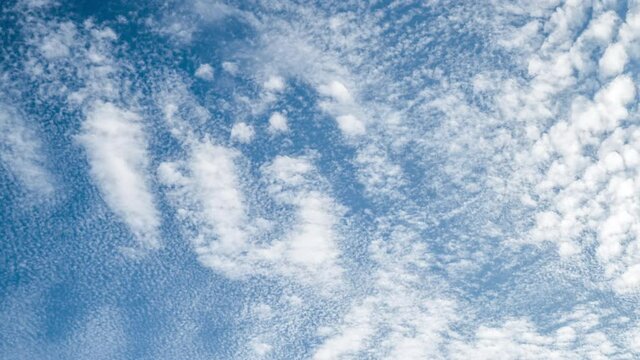 Time lapse of Altocumulus Floccus Clouds moving on blue sky