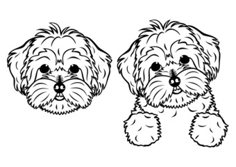 white doodle dog head and peeking line art design - Powered by Adobe