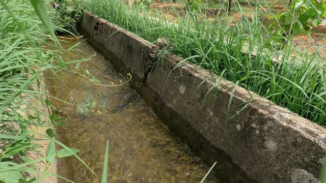 Flowing water in waterway of irrigation system for rice agriculture field