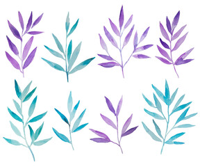 Fototapeta na wymiar Watercolor blue and purple branches isolated on white background. Hand painted design elements for decor and invitations.