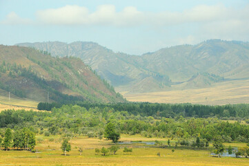 A small river flowing through a forest growing in a picturesque valley surrounded by mountains.