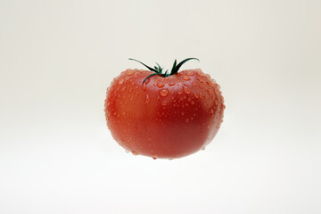 물방울이 맺힌 신선한 토마토
