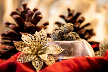 Holiday cannabis with poinsettias and pinecones