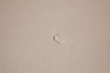 footprint of a man's bare feet on the sand. The footprint is partially washed away by the wave. Concept discovery - 469837405