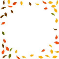 Falling autumn leaves. Red, yellow, green, brown r