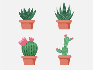 Green Cactus; bright cacti flowers isolated on white background.design vector illustrator