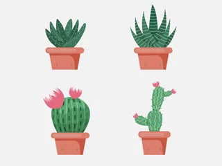 Fotobehang Cactus in pot Groene Cactus  heldere cactussen bloemen geïsoleerd op wit background.design vector illustrator