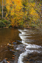 Stream in the fall in Great Smoky Mountains National Park, Tennessee
