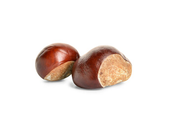 Autumn chestnuts on white background