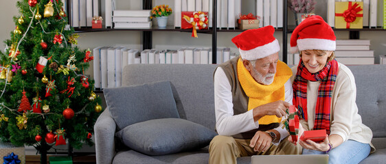 Senior couple making video call on Christmas day