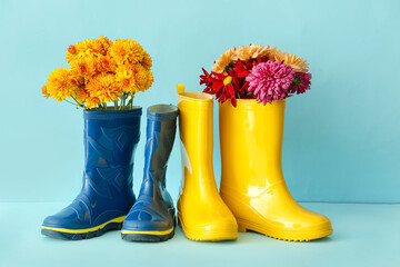 Rubber boots and beautiful autumn flowers on color background