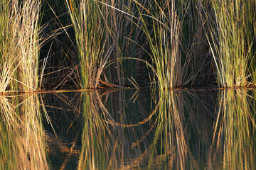 calm evening on the river