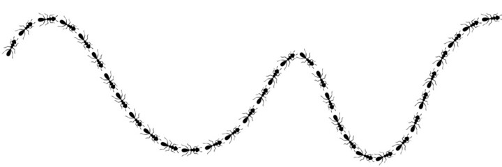 Worker ants trail curve. Ant path isolated in white background. Vector illustration