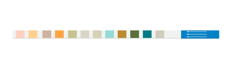 Test strip for urine. analyzes.