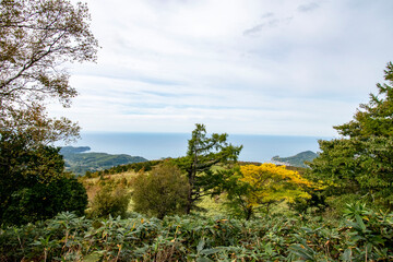 登山途中の紅葉