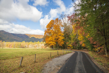 Cades Cove Loop Road, Fall foliage in Great Smoky Mountains National Park, Tennessee