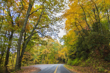 Two lane road in the Great Smoky Mountains National Park with fall foliage