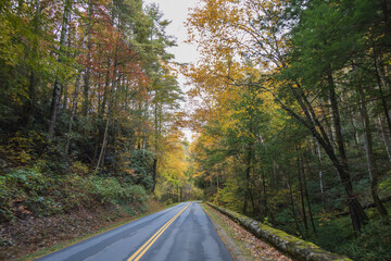 Two lane road in the Great Smoky Mountains National Park with fall foliage