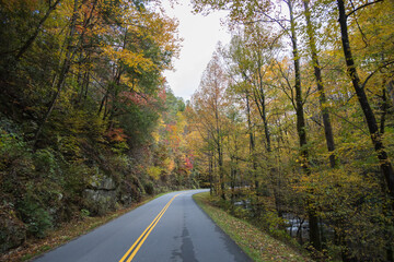 Fototapeta premium Two lane road in the Great Smoky Mountains National Park with fall foliage