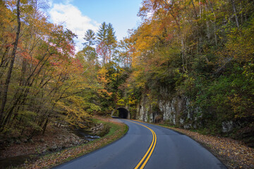 Tunnel in the Great Smoky Mountains National Park with fall foliage