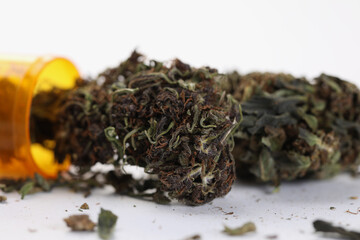 Fototapeta premium Split dried marijuana plant, dropped plastic bottle with hemp medication