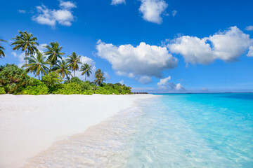 Exotic summer nature beach landscape panorama. Coco palms with amazing blue lagoon, sandy shore,...