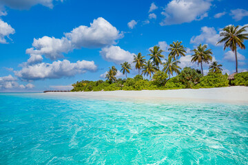 Exotic summer nature beach landscape panorama. Coco palms with amazing blue lagoon, sandy shore,...