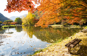 장성 백양사 도솔천에 비치는 가을 단풍