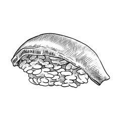 Sushi with tuna. Hand drawn vector illustration.