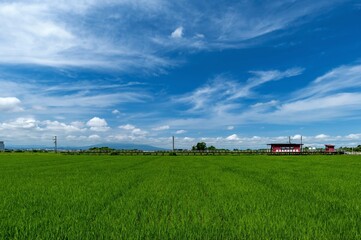 【青森県津軽平野】津軽富士岩木山を眺めながら津軽平野を走る田んぼ鉄道（弘南鉄道）