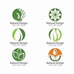 Leaf icon Vector Illustration design Logo template