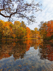 Obraz premium Autumn in the park. Trees with bright, already falling leaves are reflected in the pond water along with the sky and beautiful clouds.