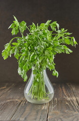 Bunch of fresh parsley in decanter, herbs for dressing dishes