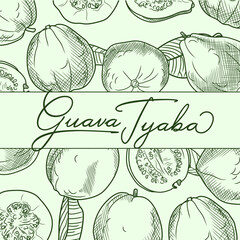 Guava sketch. Hand drawing of guava, fresh fruits and leaves. Black and white illustration