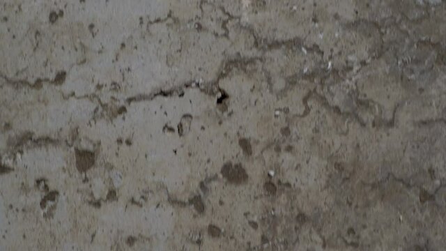 textured old gray concrete background stained with beige stucco with scratches and holes. free space. copy space. vertical move slider. close up. 4k