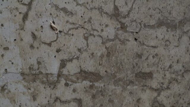 textured old gray concrete background stained with beige stucco with scratches and holes. free space. copy space. vertical move slider. close up. 4k