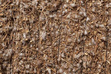 Pulled cotton packed in a field waiting to be loaded