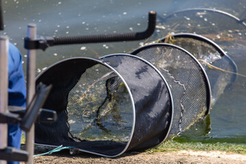 Fish tank for fishing by pond.