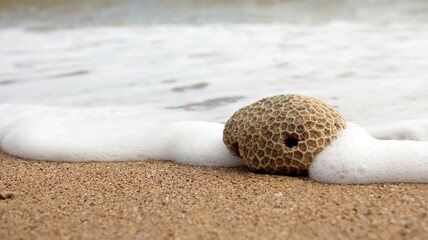 Coral rocks on the sandy bottom hit the sea waves. - obrazy, fototapety, plakaty