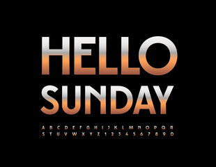Vector modern Poster Hello Sunday. Elite Golden Font. Chic Alphabet Letters and Numbers.