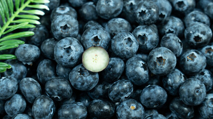 lots of blueberries